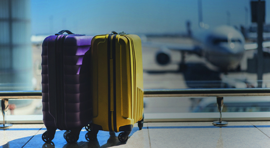 Transfer & Accommodation